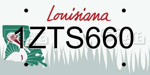 1ZTS660 Louisiana License Plate