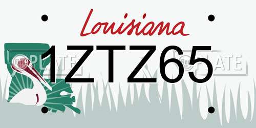 1ZTZ65 Louisiana License Plate