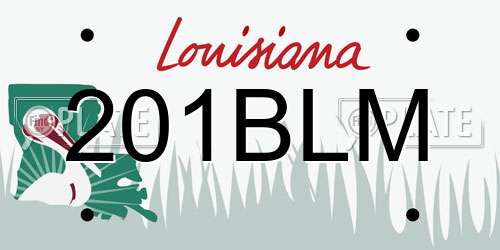 201BLM Louisiana License Plate