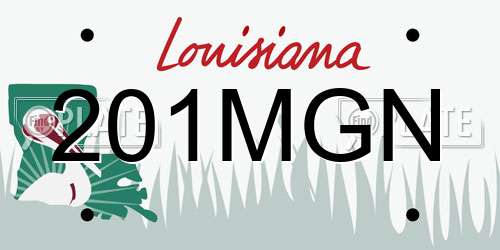 201MGN Louisiana License Plate