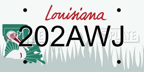 202AWJ Louisiana License Plate