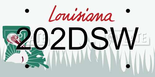 202DSW Louisiana License Plate