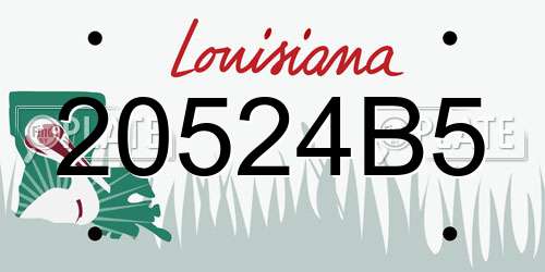20524B5 Louisiana License Plate