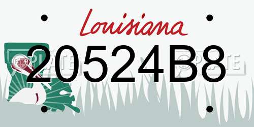 20524B8 Louisiana License Plate