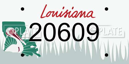 20609 Louisiana License Plate