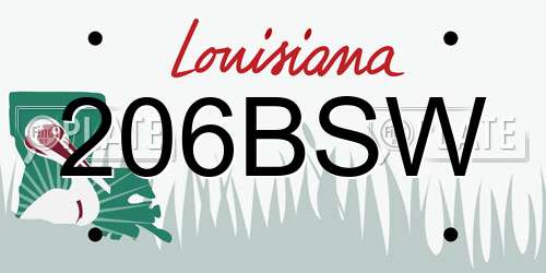 206BSW Louisiana License Plate