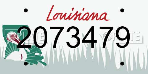 2073479 Louisiana License Plate