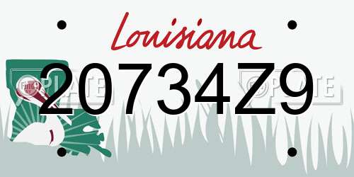 20734Z9 Louisiana License Plate