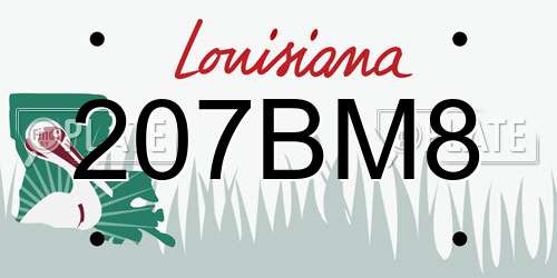 207BM8 Louisiana License Plate