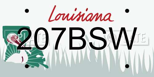 207BSW Louisiana License Plate