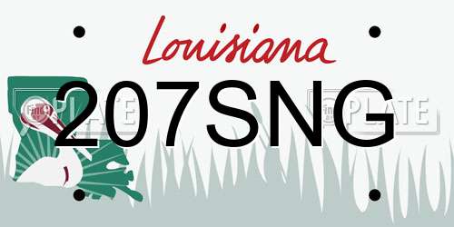207SNG Louisiana License Plate