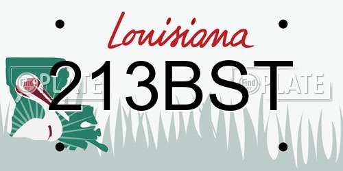 213BST Louisiana License Plate