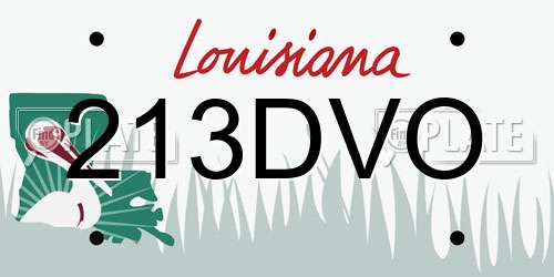 213DVO Louisiana License Plate