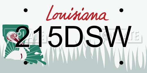 215DSW Louisiana License Plate