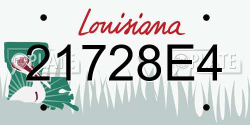 21728E4 Louisiana License Plate
