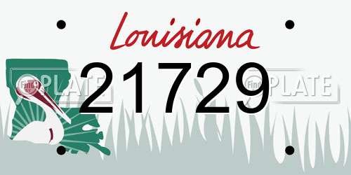 21729 Louisiana License Plate