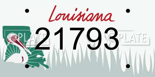 21793 Louisiana License Plate
