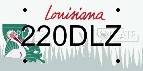 220DLZ Louisiana License Plate