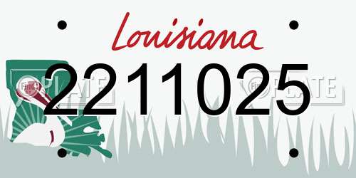 2211025 Louisiana License Plate