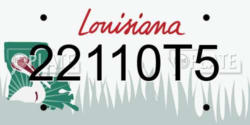 22110T5 Louisiana License Plate