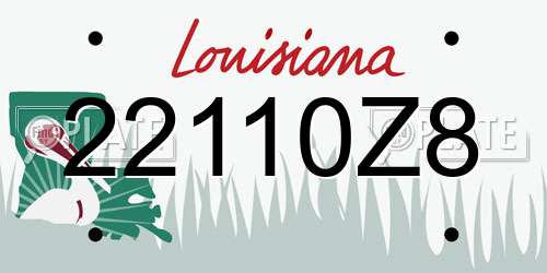 22110Z8 Louisiana License Plate