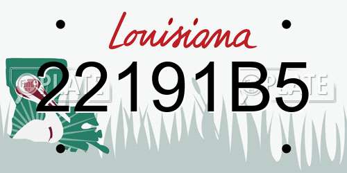 22191B5 Louisiana License Plate