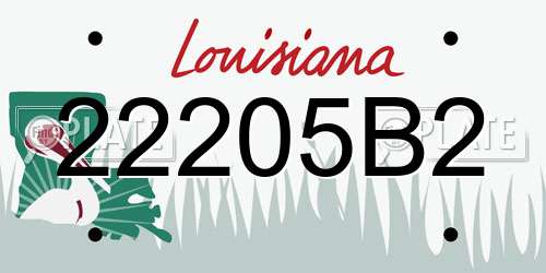 22205B2 Louisiana License Plate