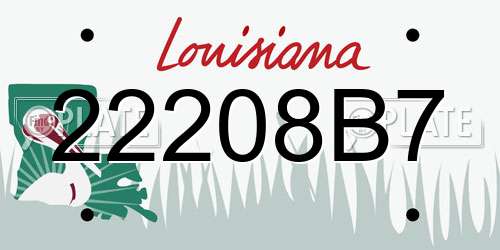 22208B7 Louisiana License Plate
