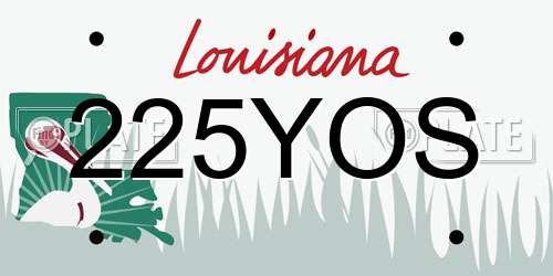 225YOS Louisiana License Plate