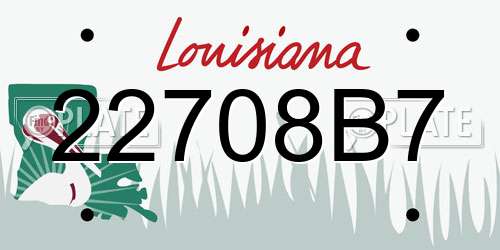 22708B7 Louisiana License Plate