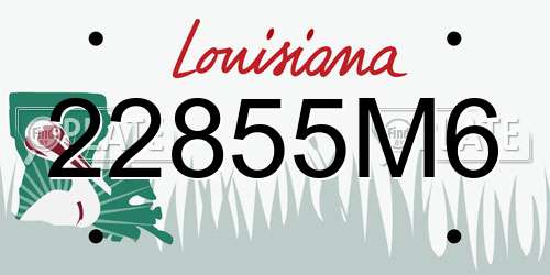 22855M6 Louisiana License Plate
