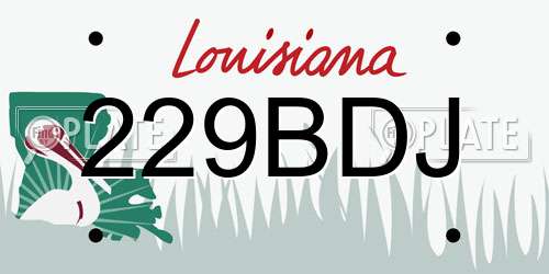 229BDJ Louisiana License Plate