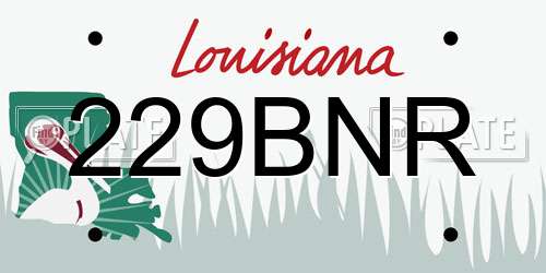 229BNR Louisiana License Plate