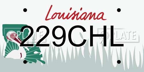 229CHL Louisiana License Plate