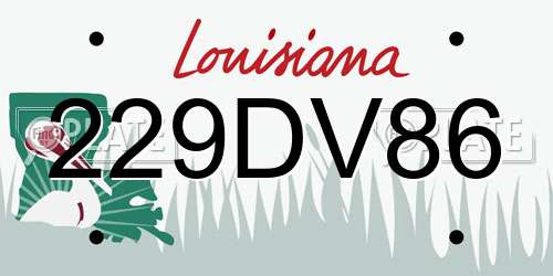 229DV86 Louisiana License Plate