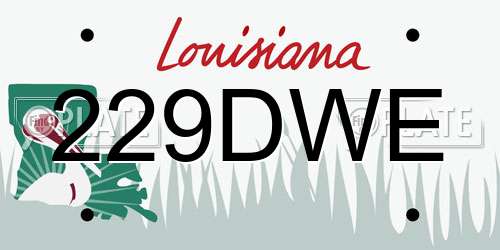 229DWE Louisiana License Plate