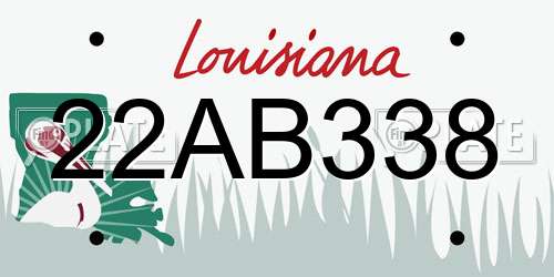 22AB338 Louisiana License Plate