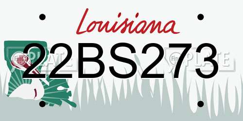 22BS273 Louisiana License Plate