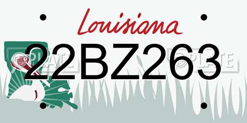 22BZ263 Louisiana License Plate