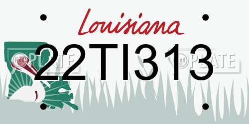 22TI313 Louisiana License Plate