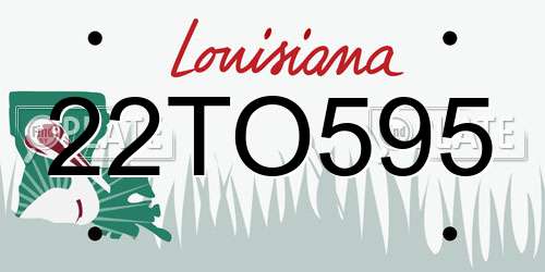 22TO595 Louisiana License Plate