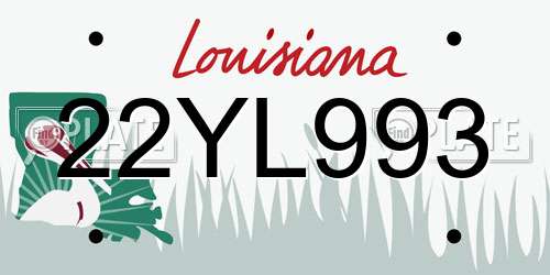 22YL993 Louisiana License Plate
