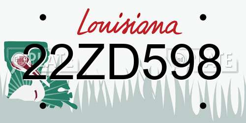 22ZD598 Louisiana License Plate