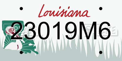 23019M6 Louisiana License Plate