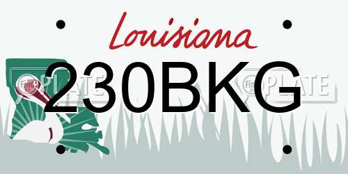 230BKG Louisiana License Plate
