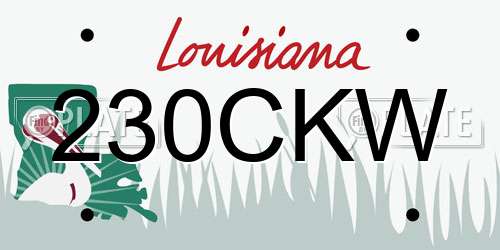230CKW Louisiana License Plate