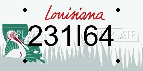 231I64 Louisiana License Plate