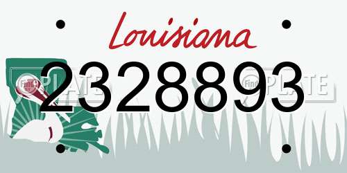 2328893 Louisiana License Plate