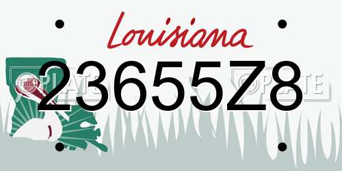 23655Z8 Louisiana License Plate