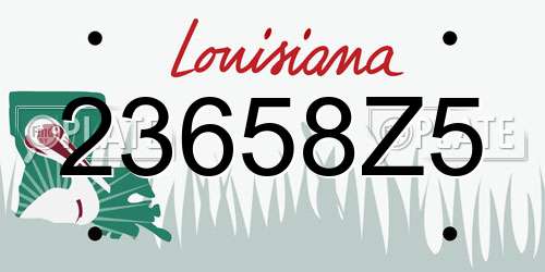 23658Z5 Louisiana License Plate
